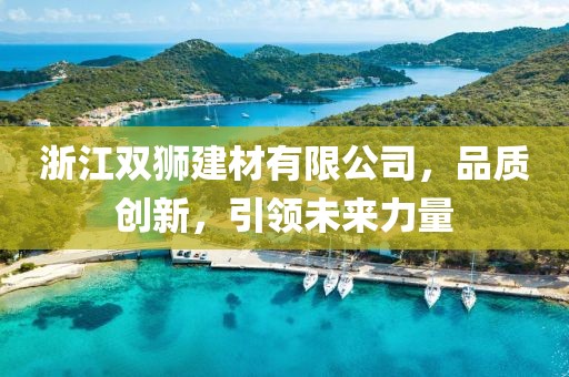 浙江双狮建材有限公司，品质创新，引领未来力量