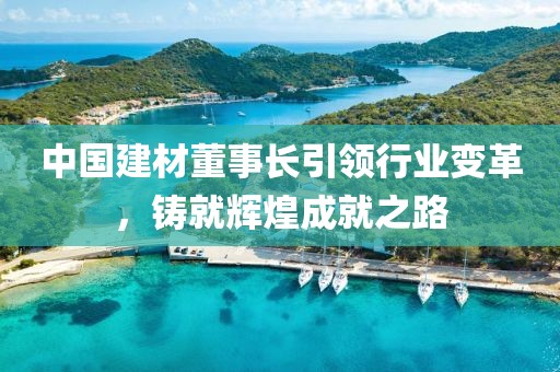 中国建材董事长引领行业变革，铸就辉煌成就之路