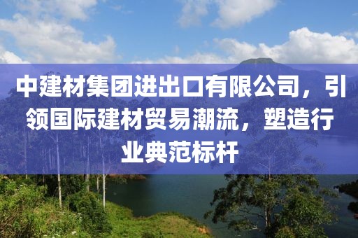 中建材集团进出口有限公司，引领国际建材贸易潮流，塑造行业典范标杆