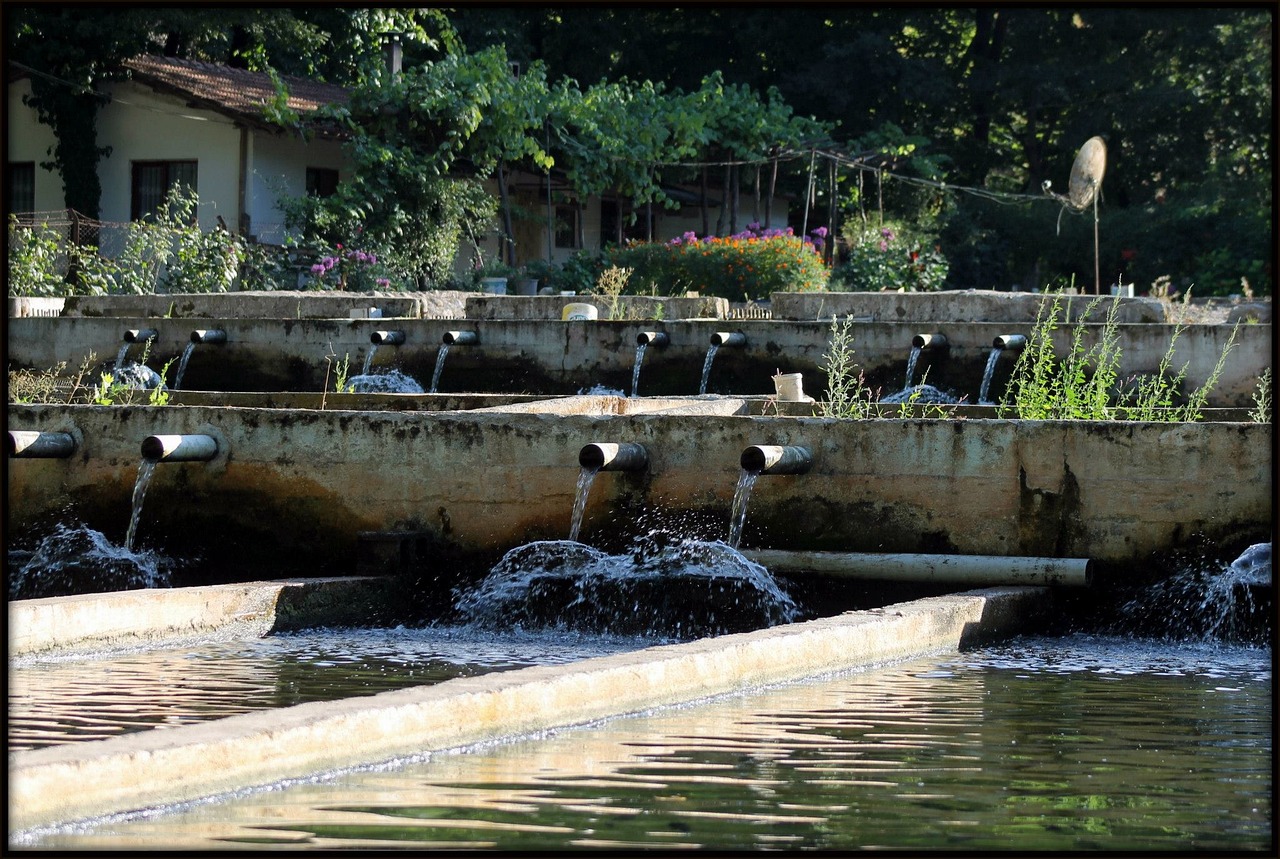 海峡建材城，引领建材行业新标杆，树立市场新典范